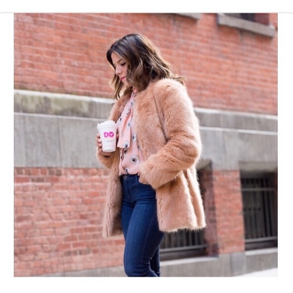 ANN TAYLOR • HOST PICK | GORGEOUS Soft Pink Ann Taylor Faux Fur Coat - Picture 2 of 9